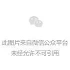 依木兰、王钰栋留洋传闻核查：细节漏洞，消息源缺失